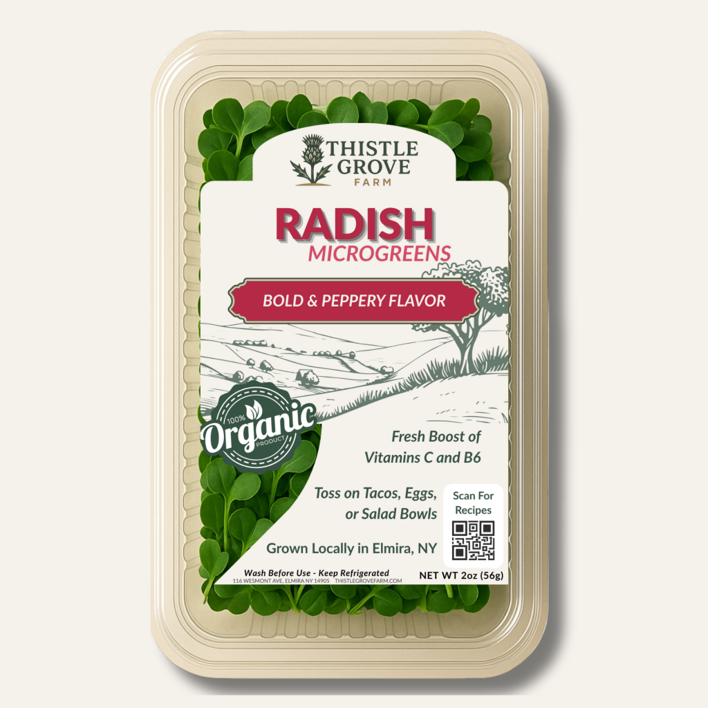 Rainbow Radish Microgreens
